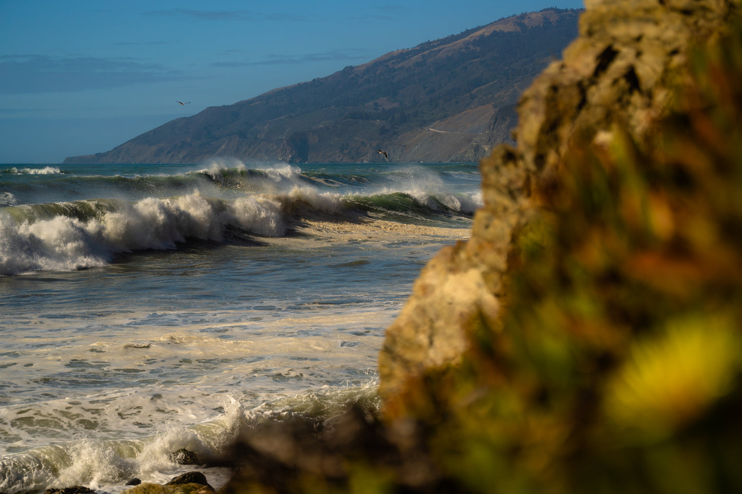 big sur swell