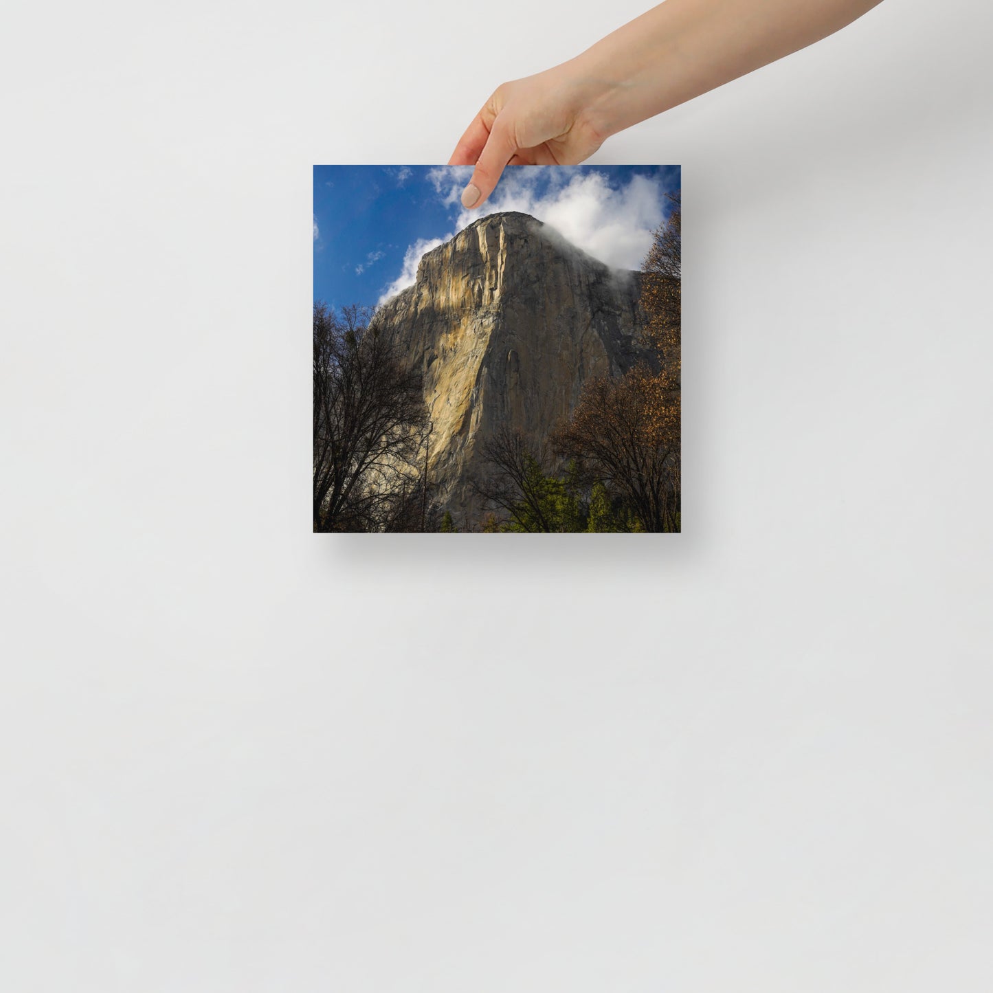 el cap print