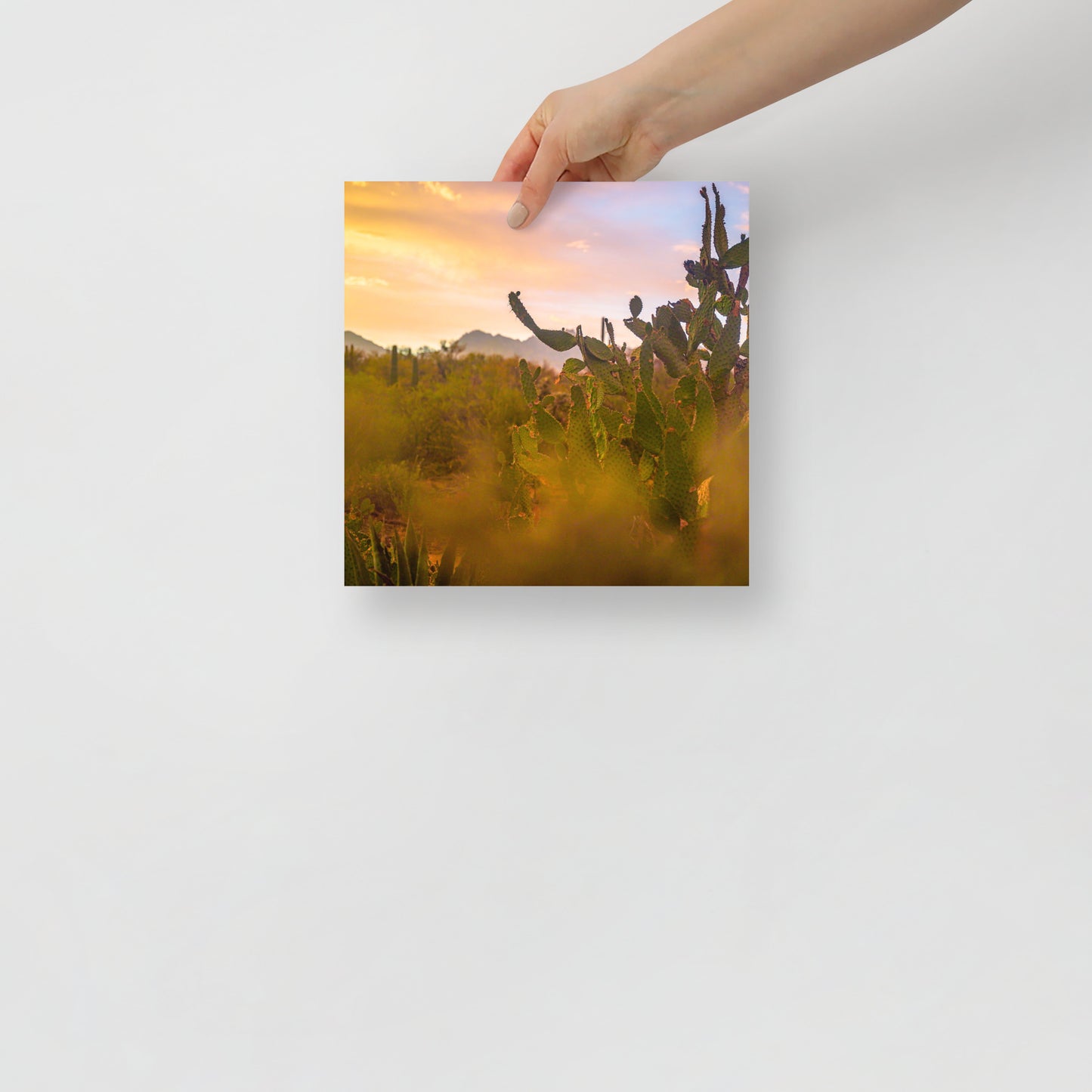 tucson sunset print