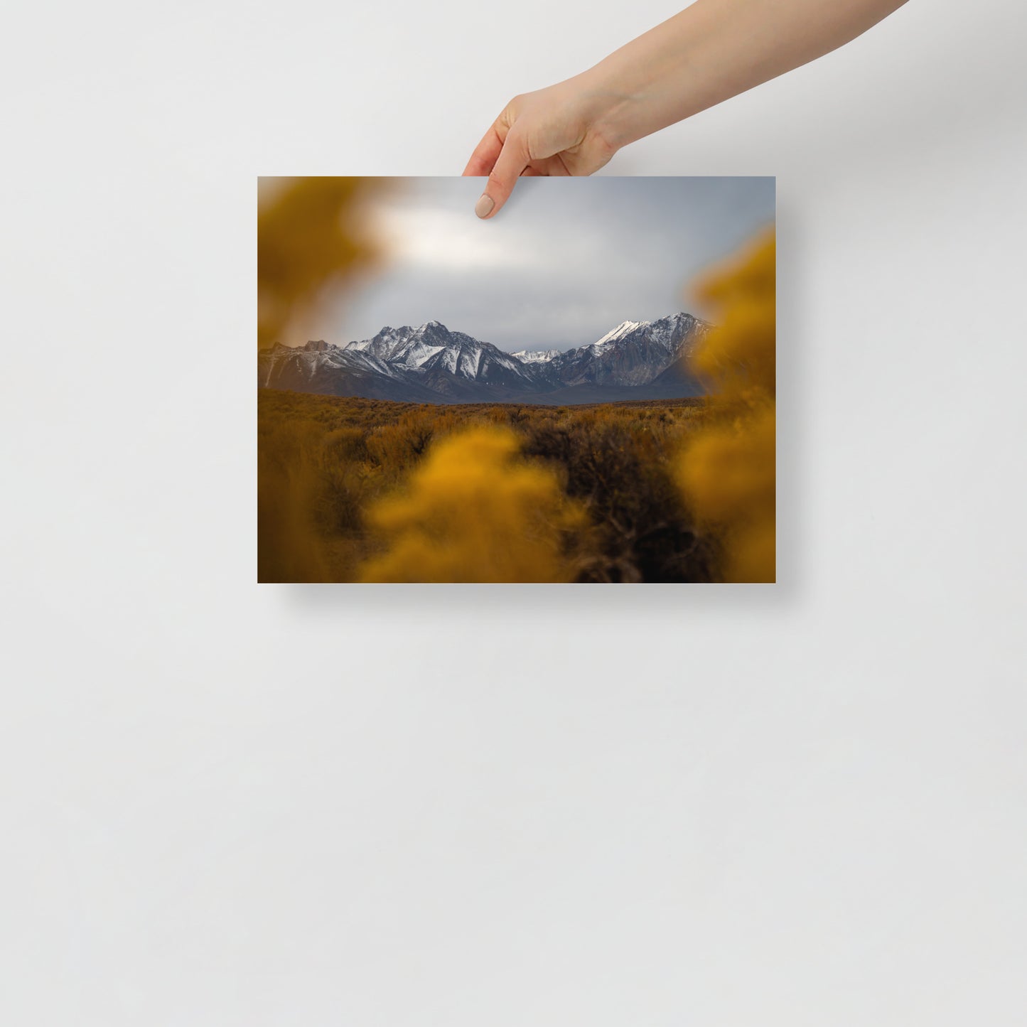mammoth mountains print