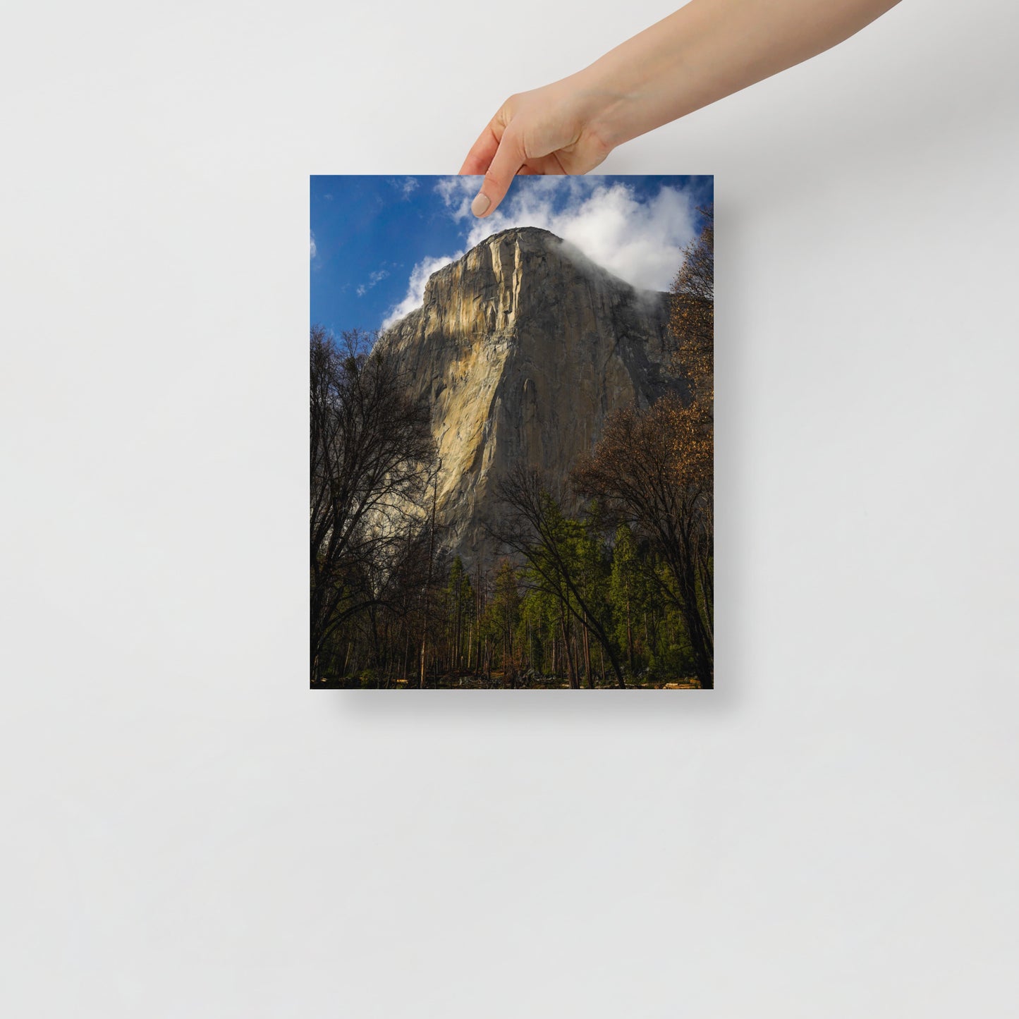 el cap print