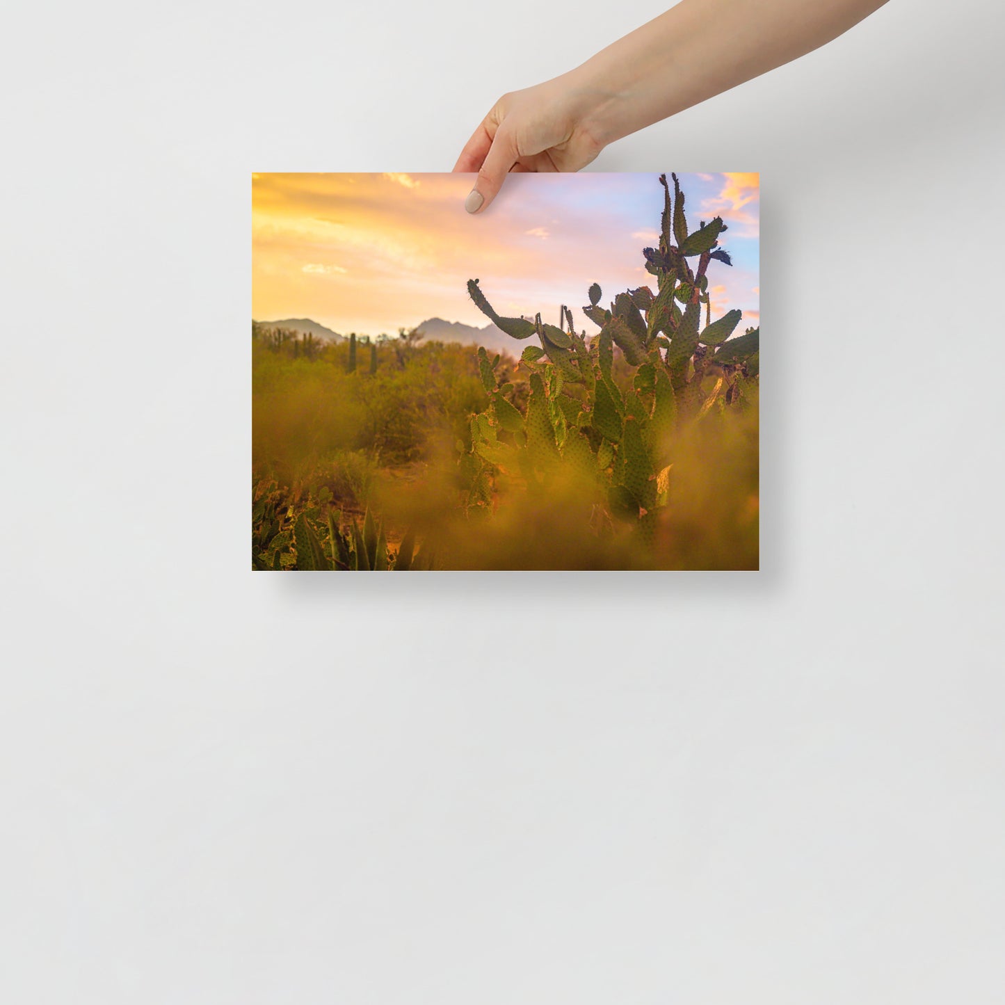 tucson sunset print
