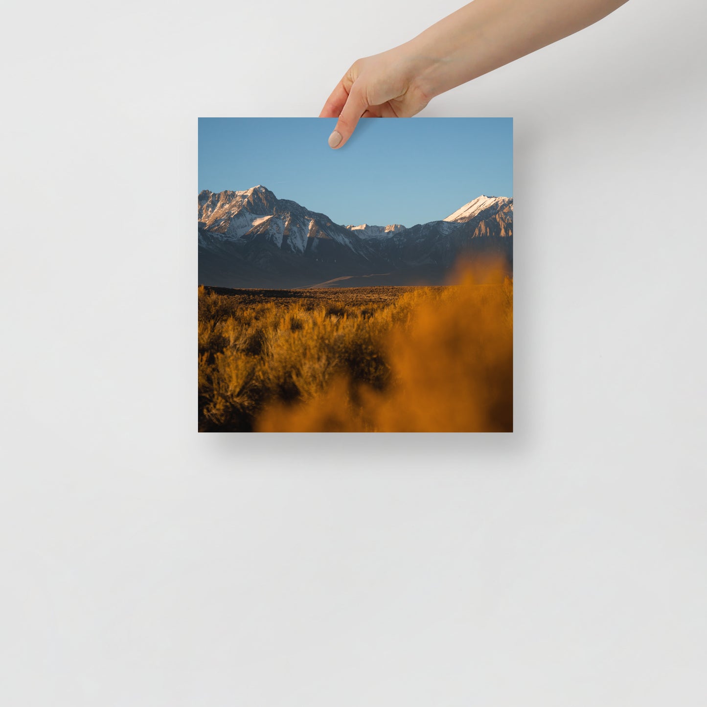 mammoth sunrise print