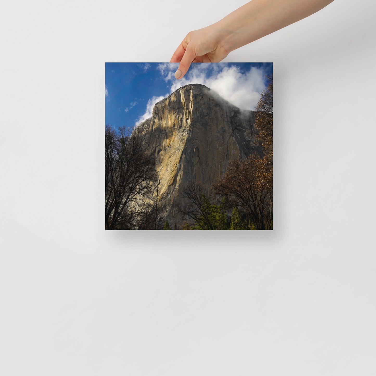 el cap print