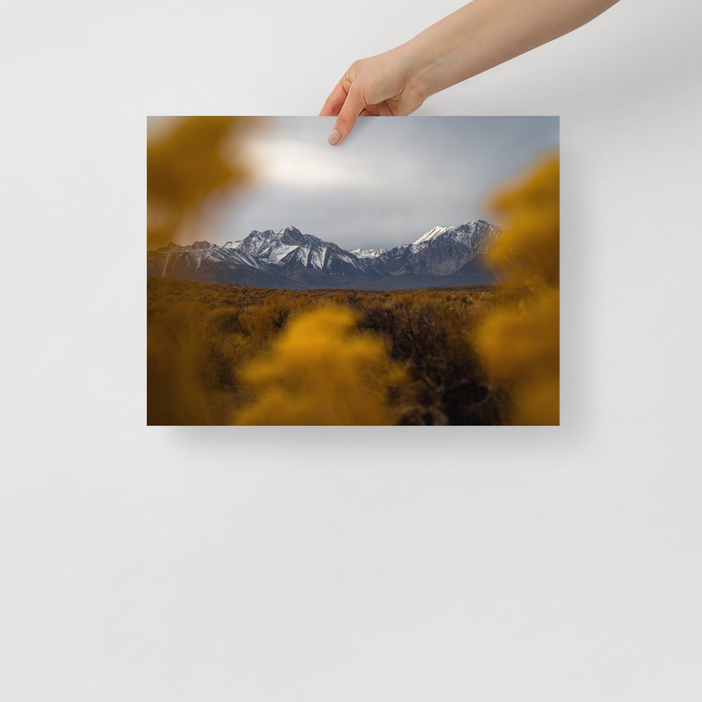 mammoth mountains print