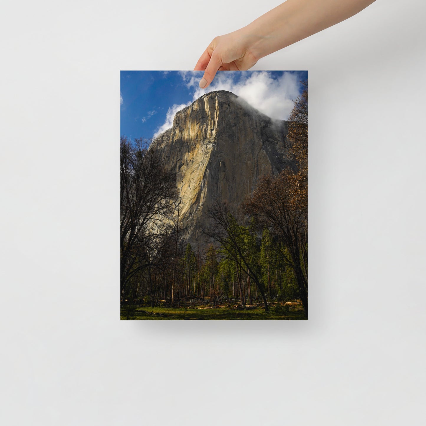 el cap print