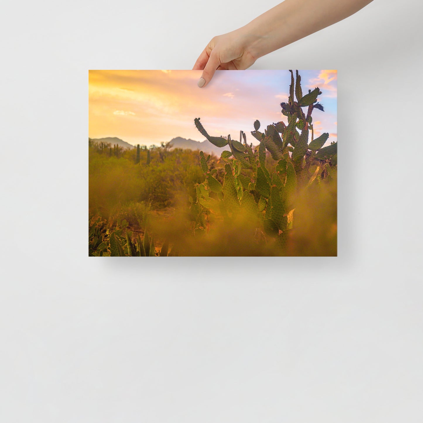 tucson sunset print