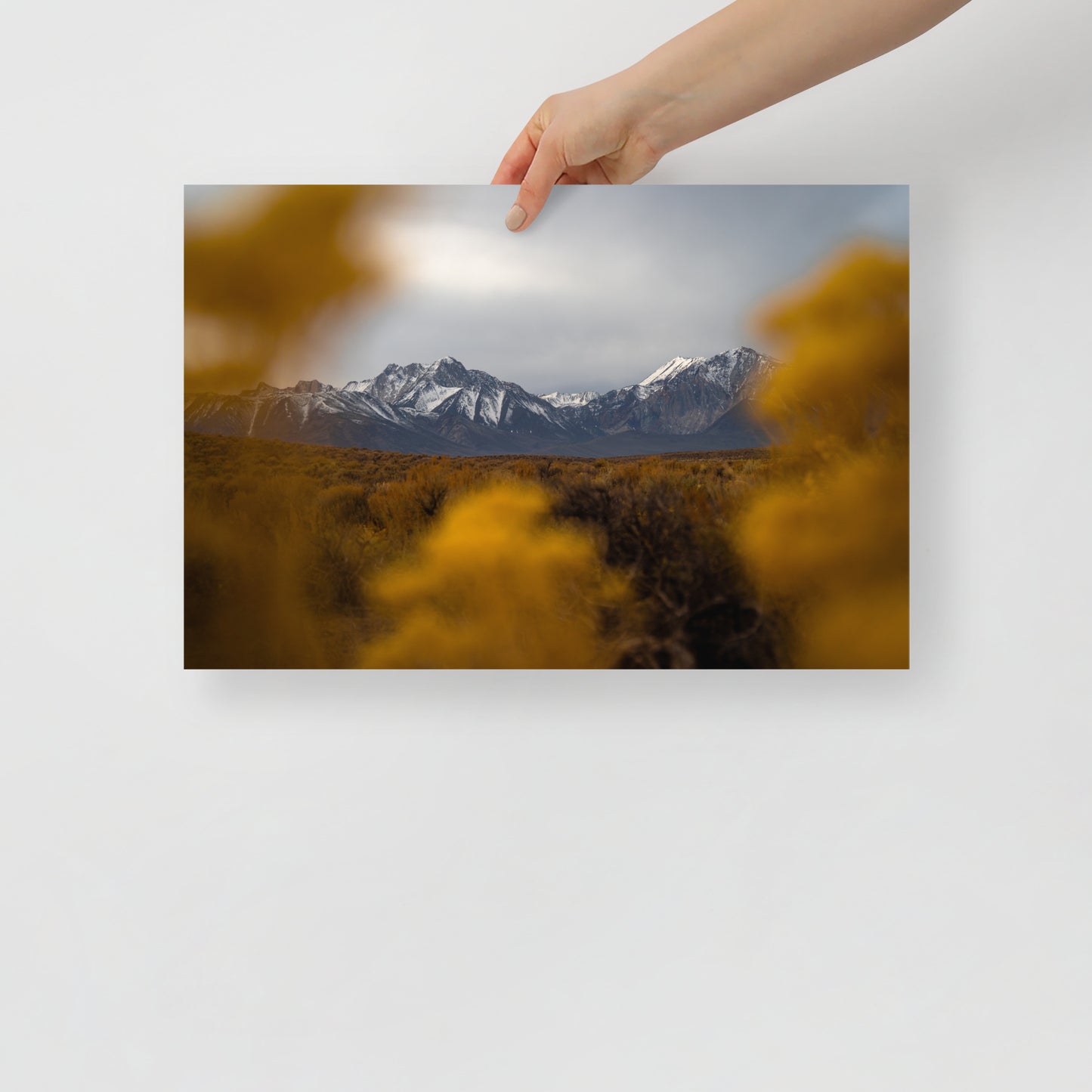mammoth mountains print