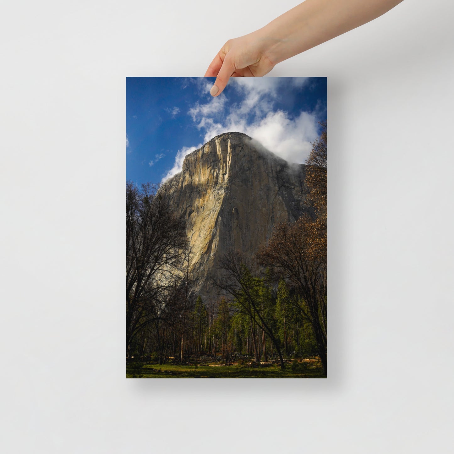 el cap print