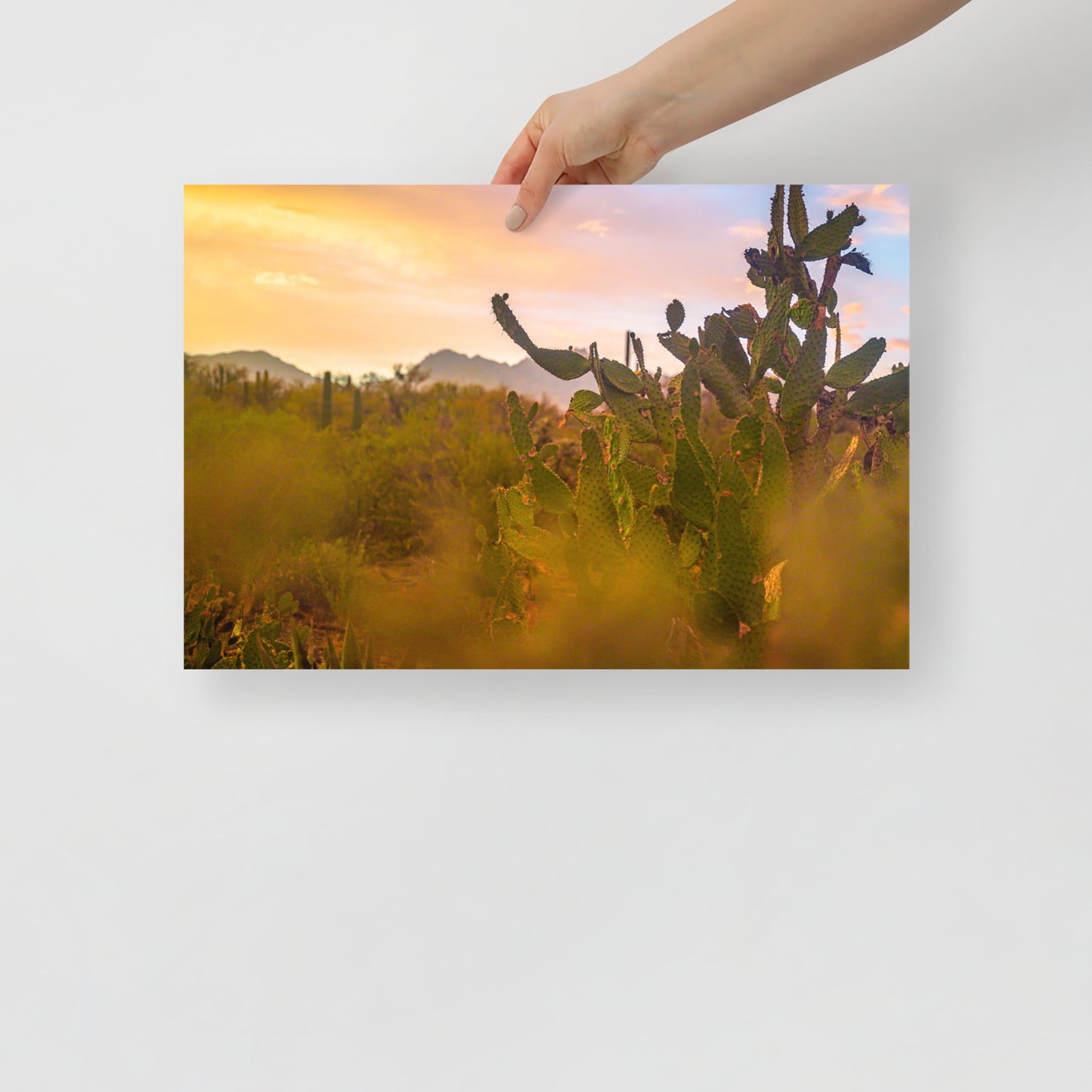 tucson sunset print