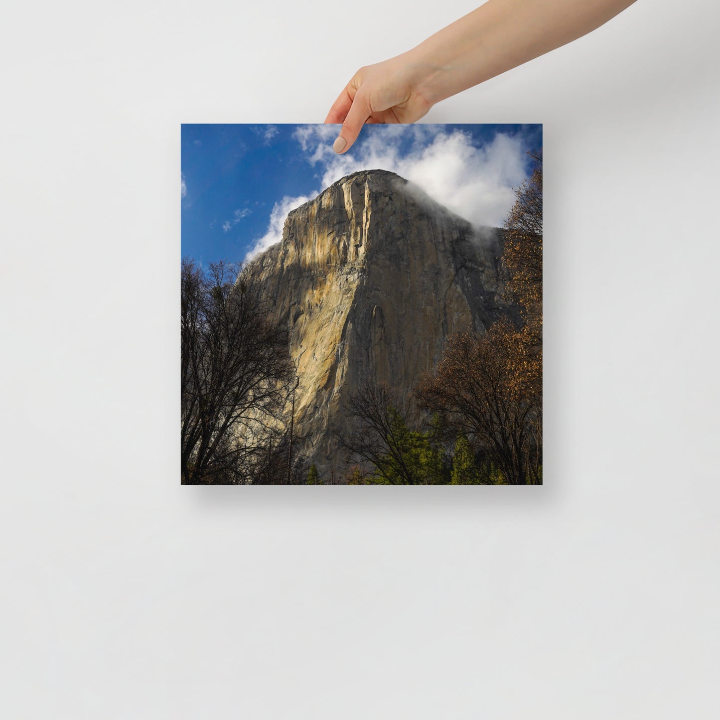 el cap print