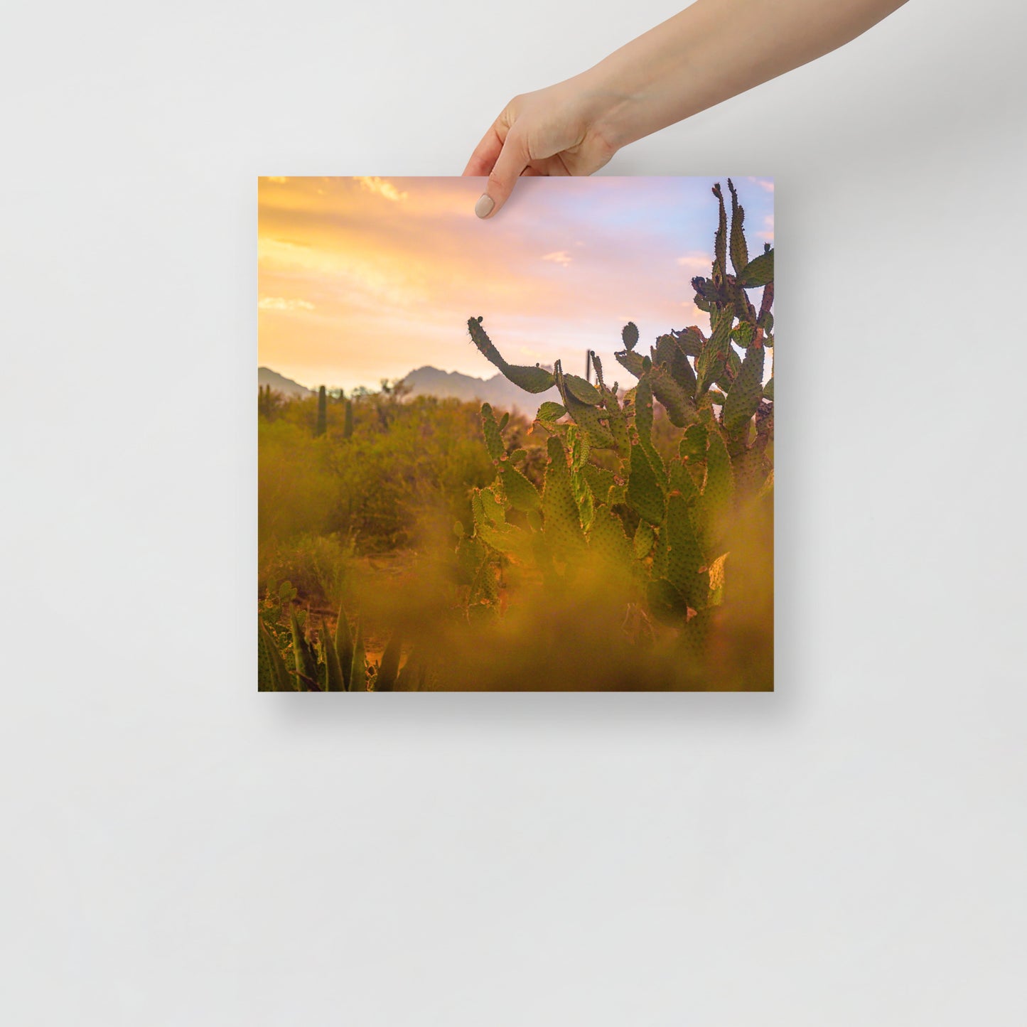 tucson sunset print