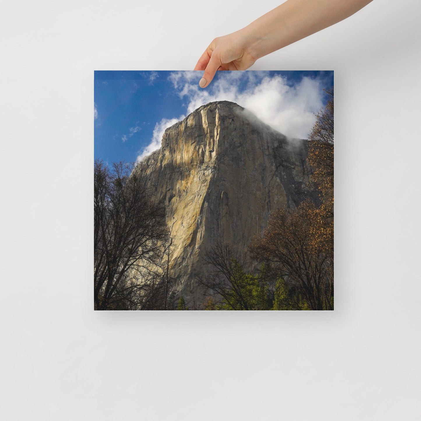 el cap print