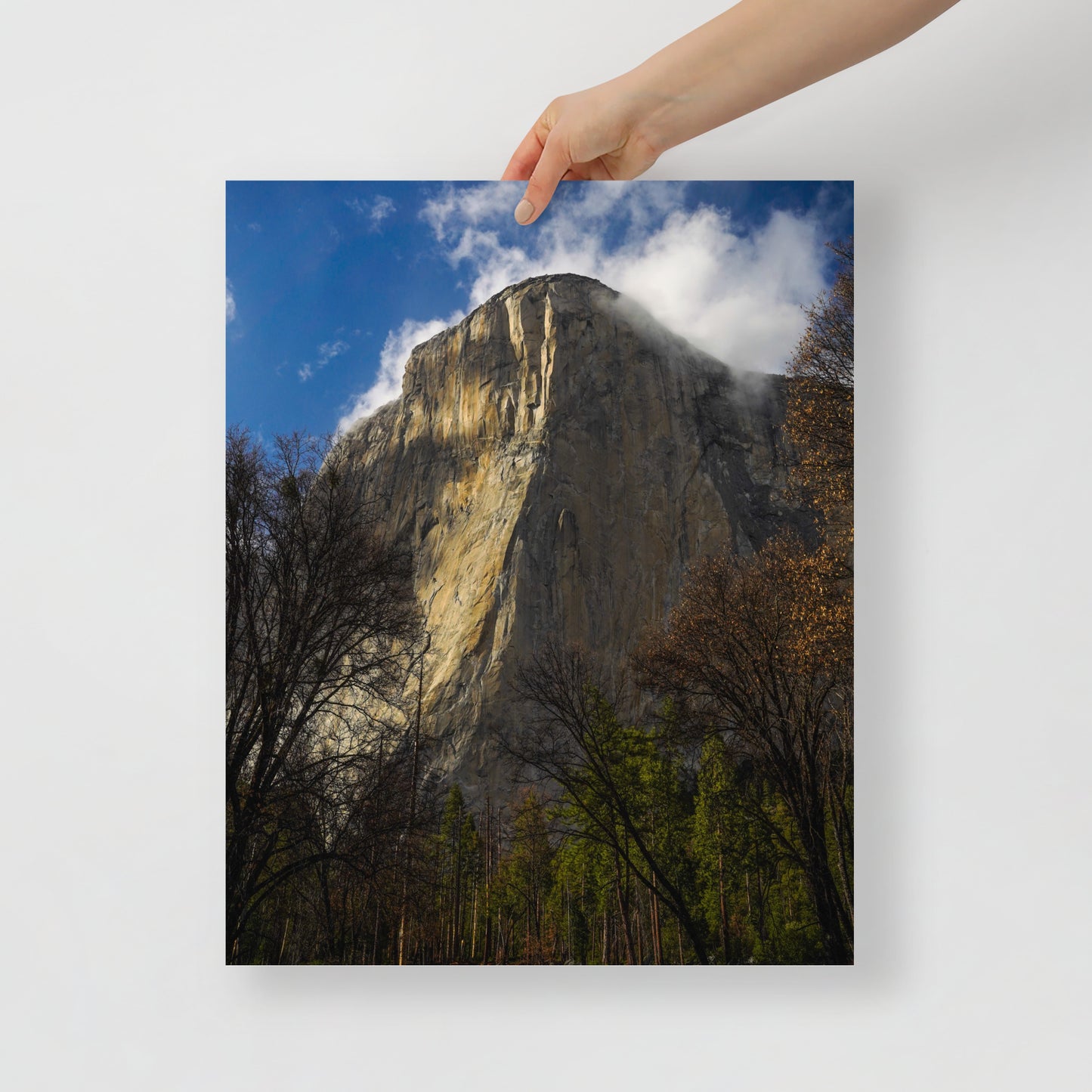 el cap print
