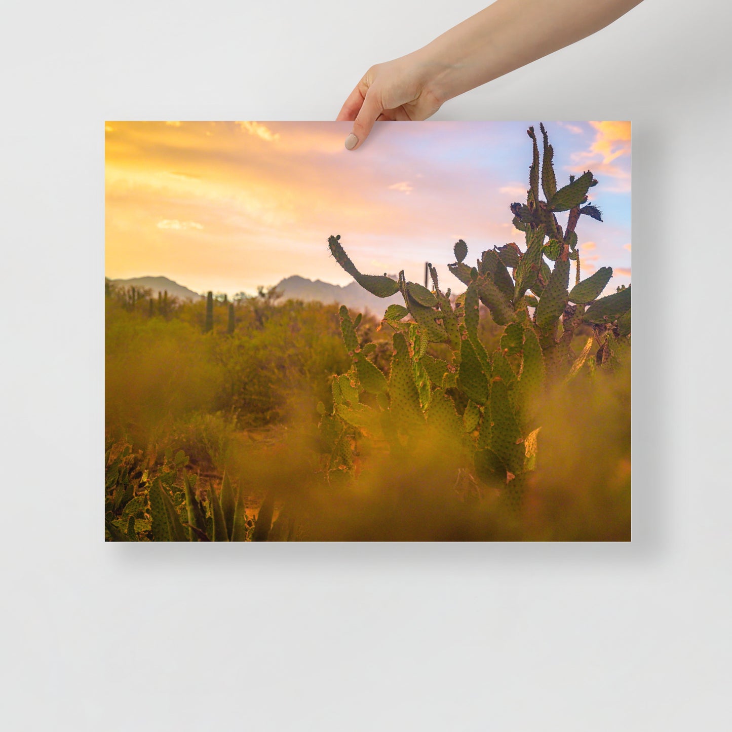 tucson sunset print