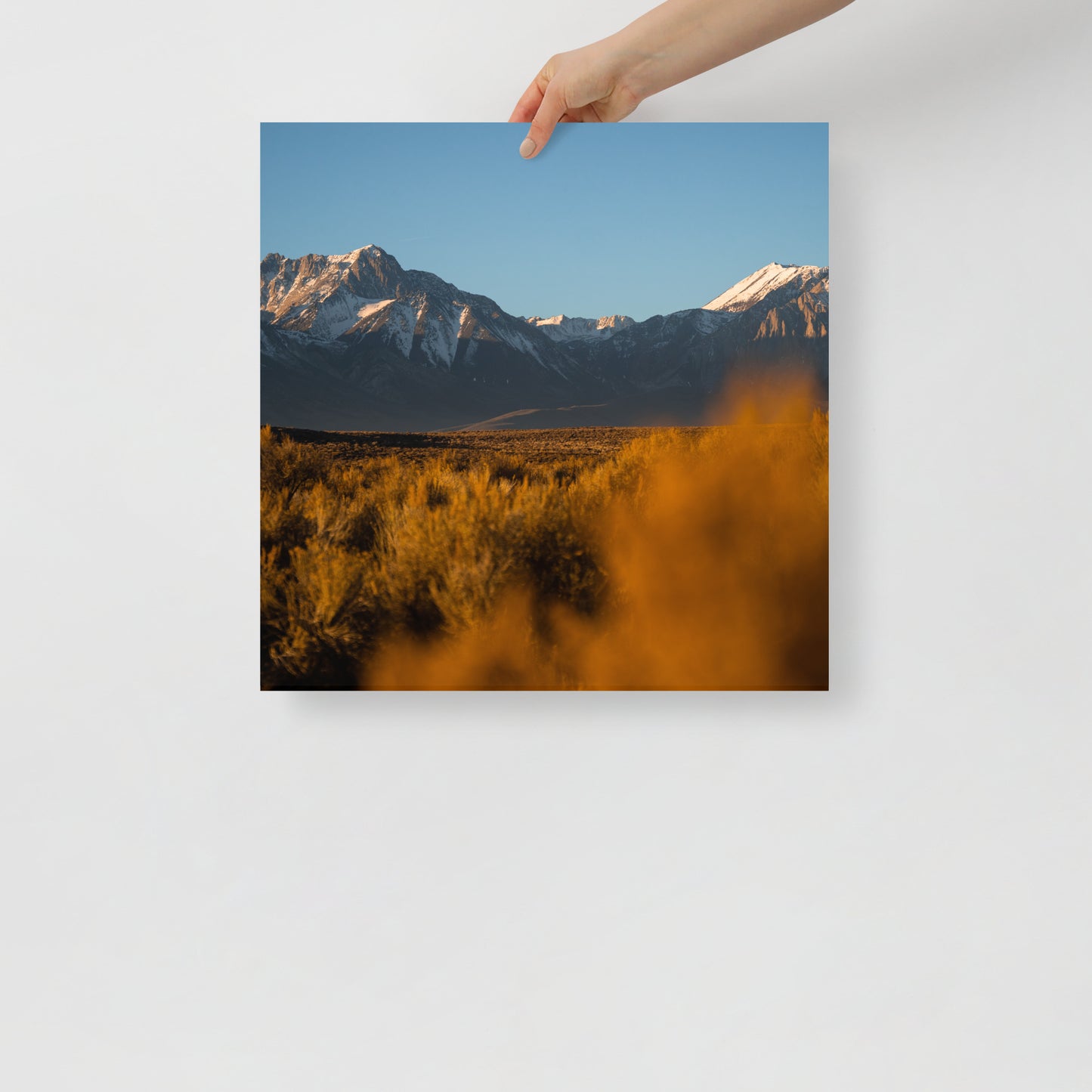 mammoth sunrise print