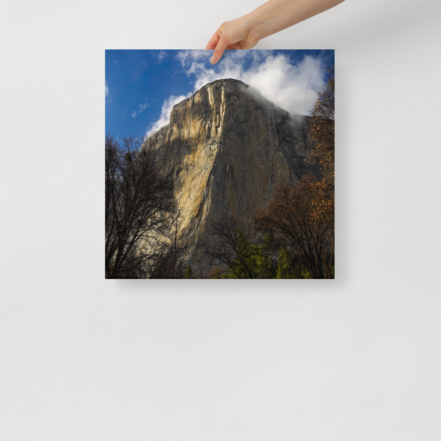el cap print