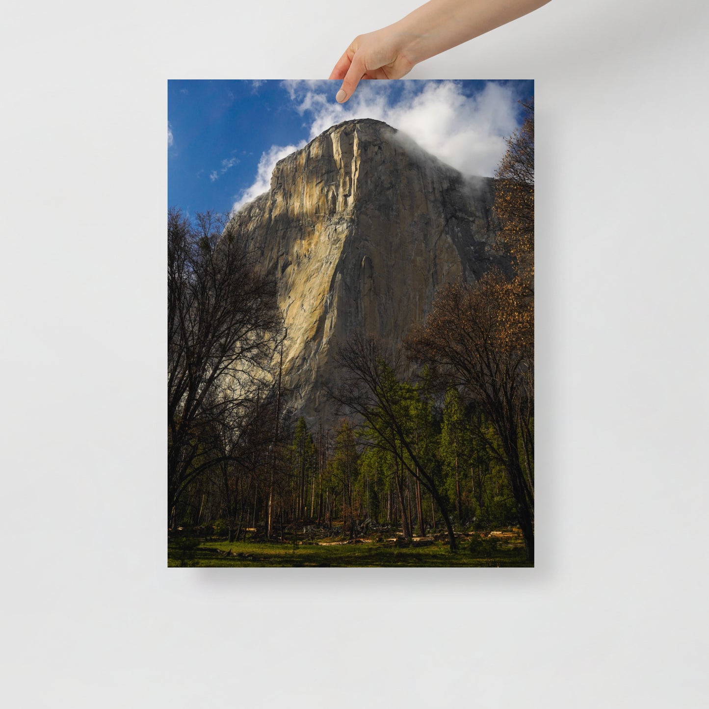 el cap print