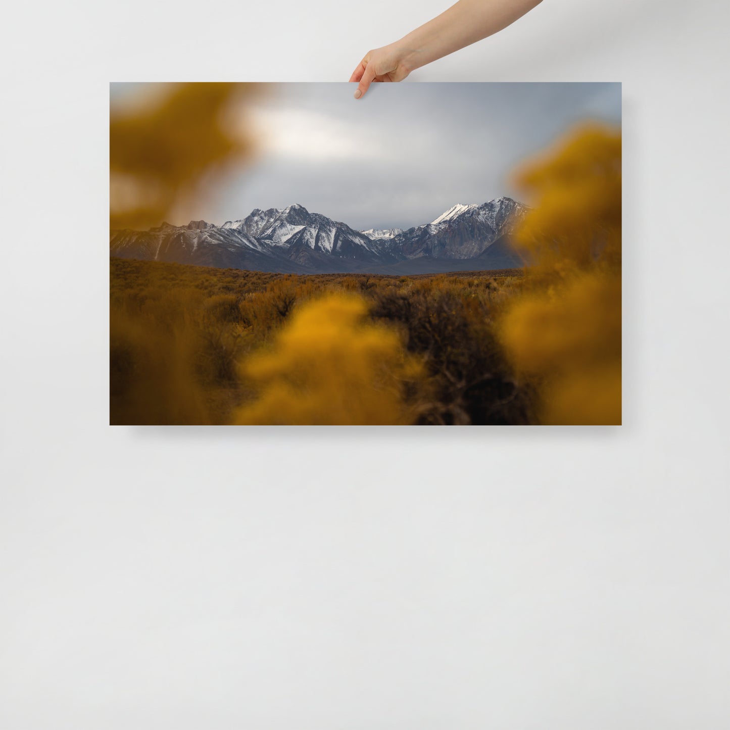 mammoth mountains print