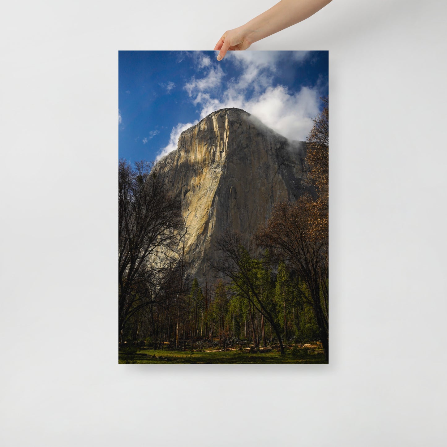 el cap print
