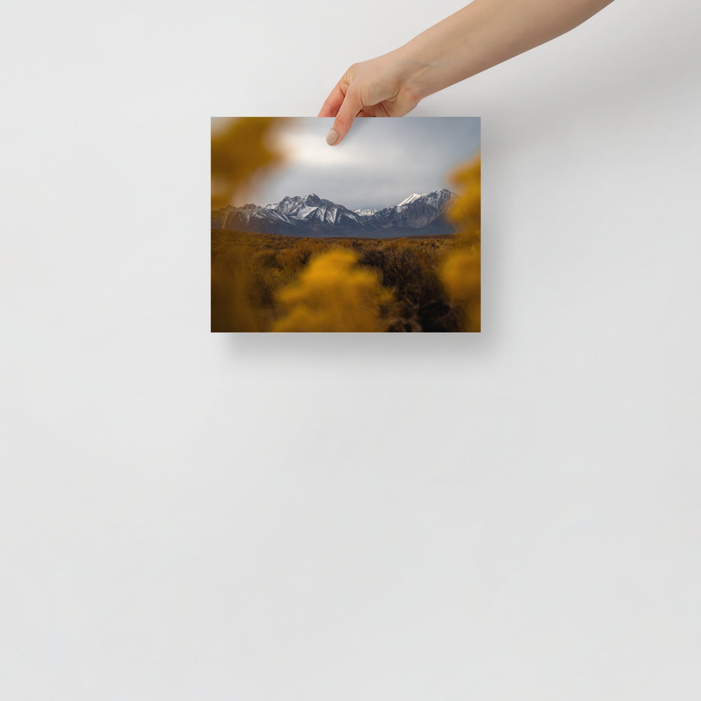 mammoth mountains print
