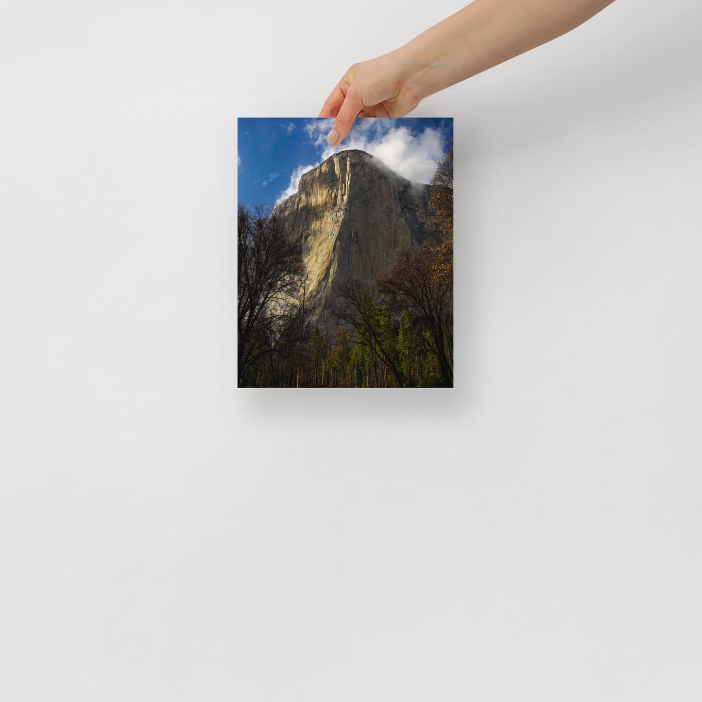 el cap print