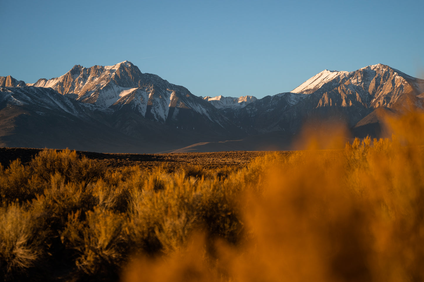 mammoth sunrise print