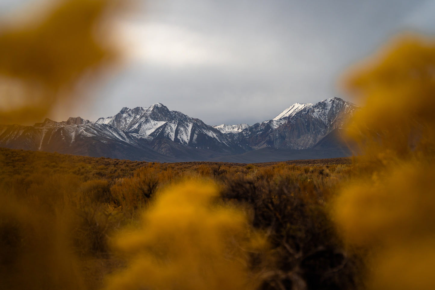 mammoth mountains print