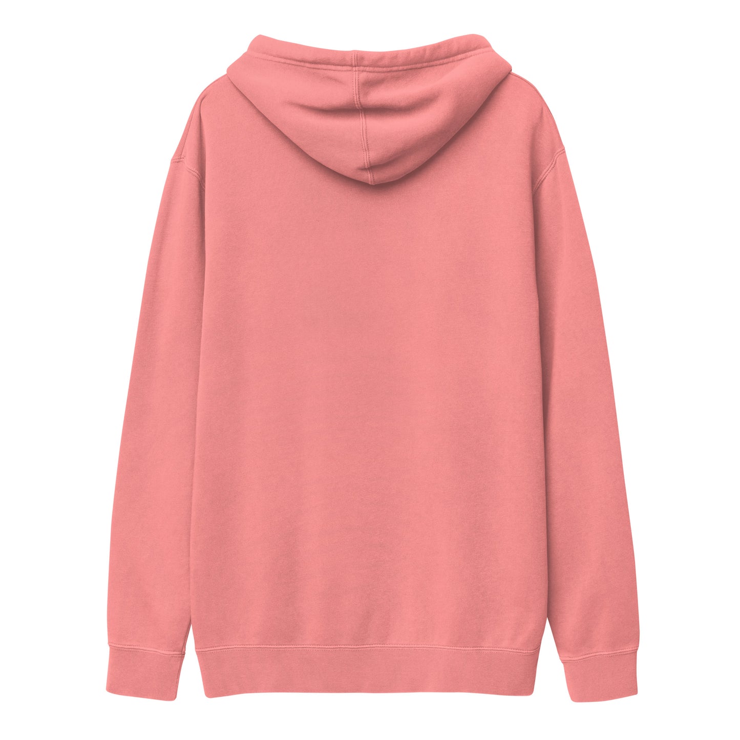 life without art pigment-dyed hoodie