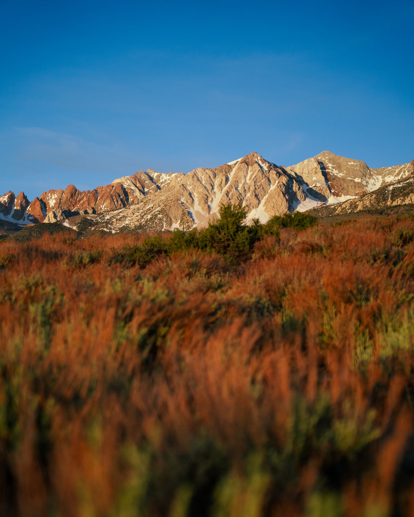 golden hour in bishop