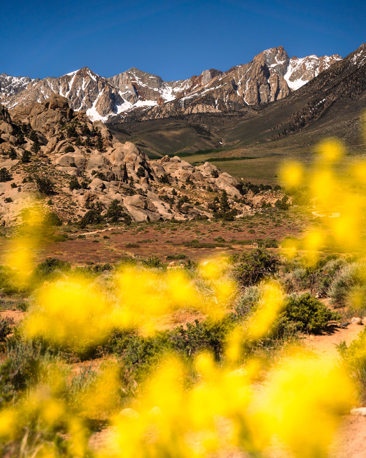 view from the buttermilks