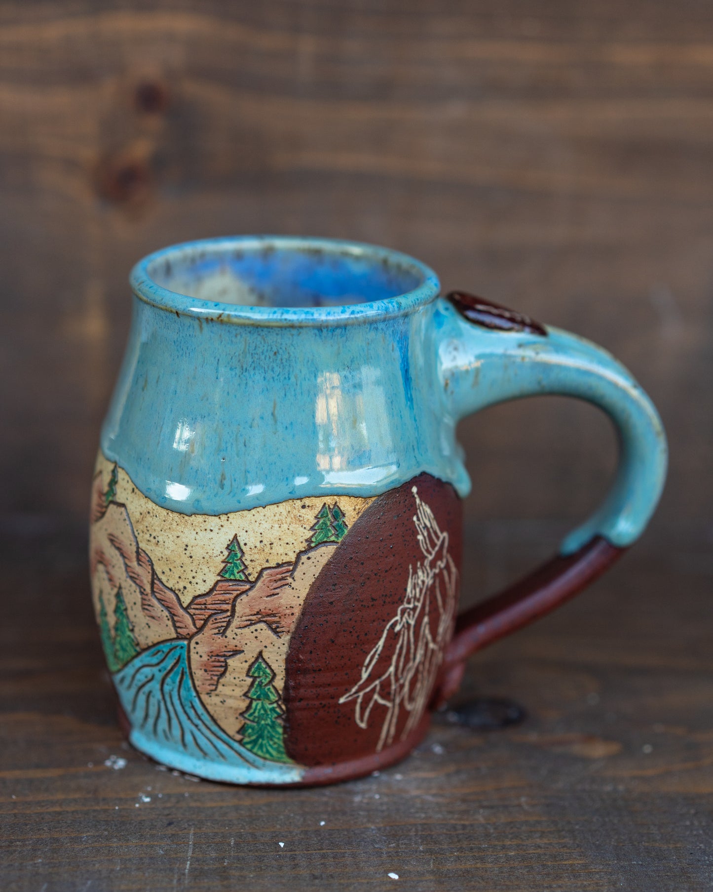 painted canyon mug