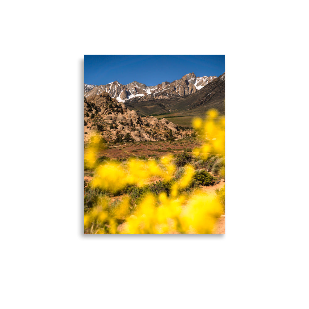 view from the buttermilks