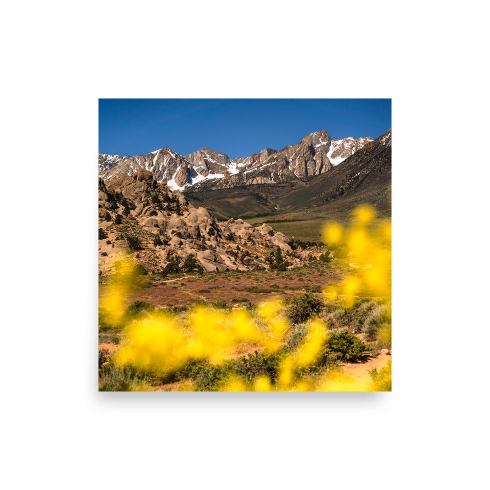 view from the buttermilks