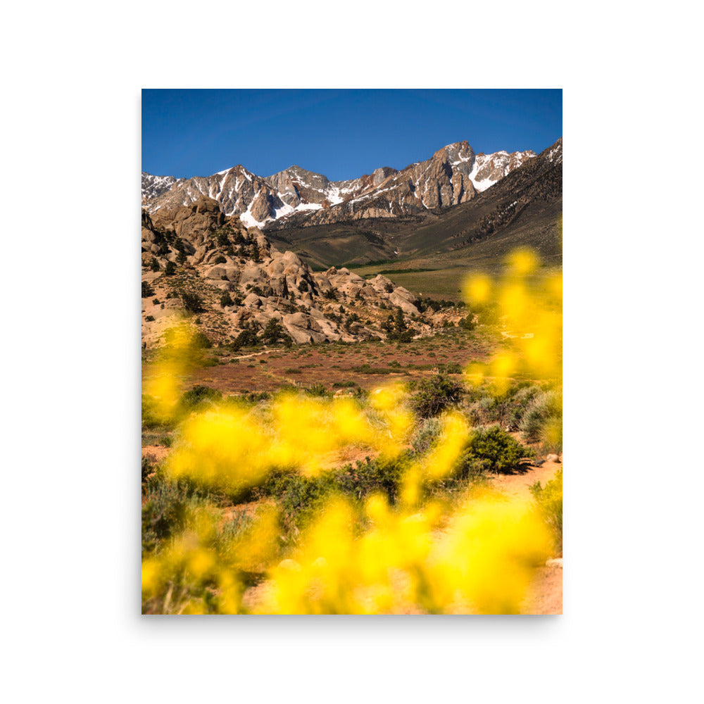 view from the buttermilks