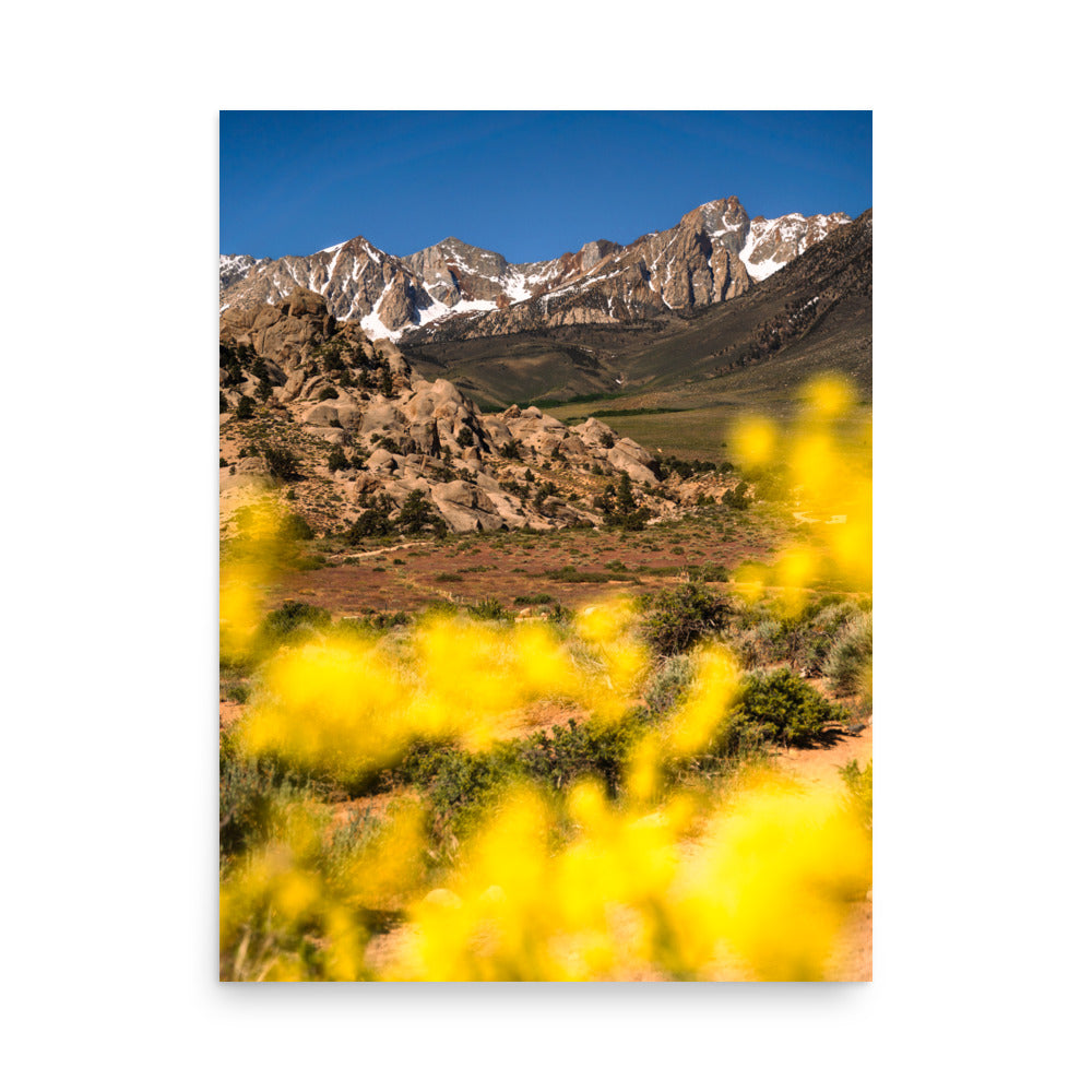 view from the buttermilks