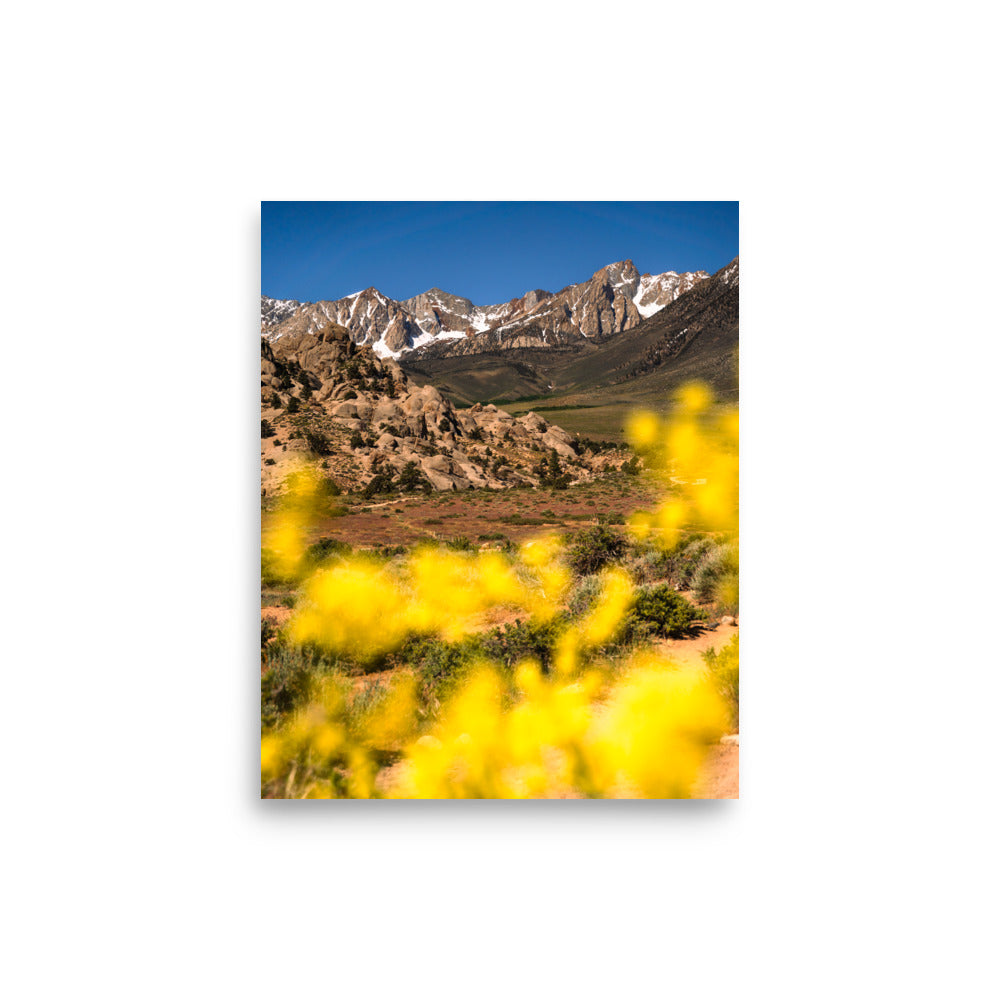 view from the buttermilks