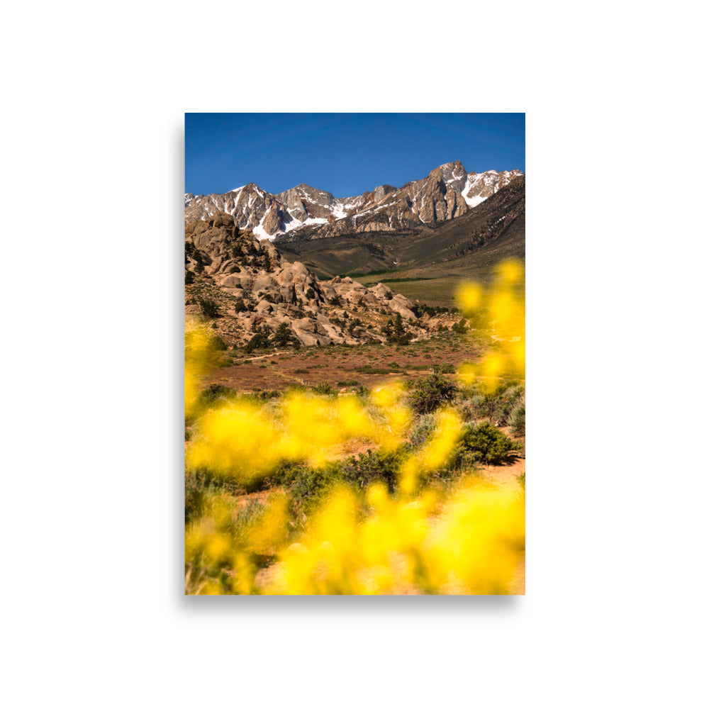 view from the buttermilks