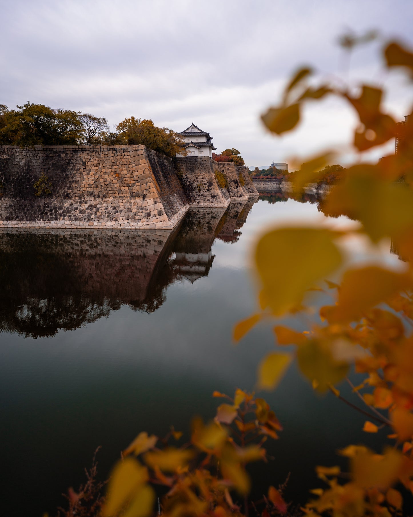 autumn in osaka