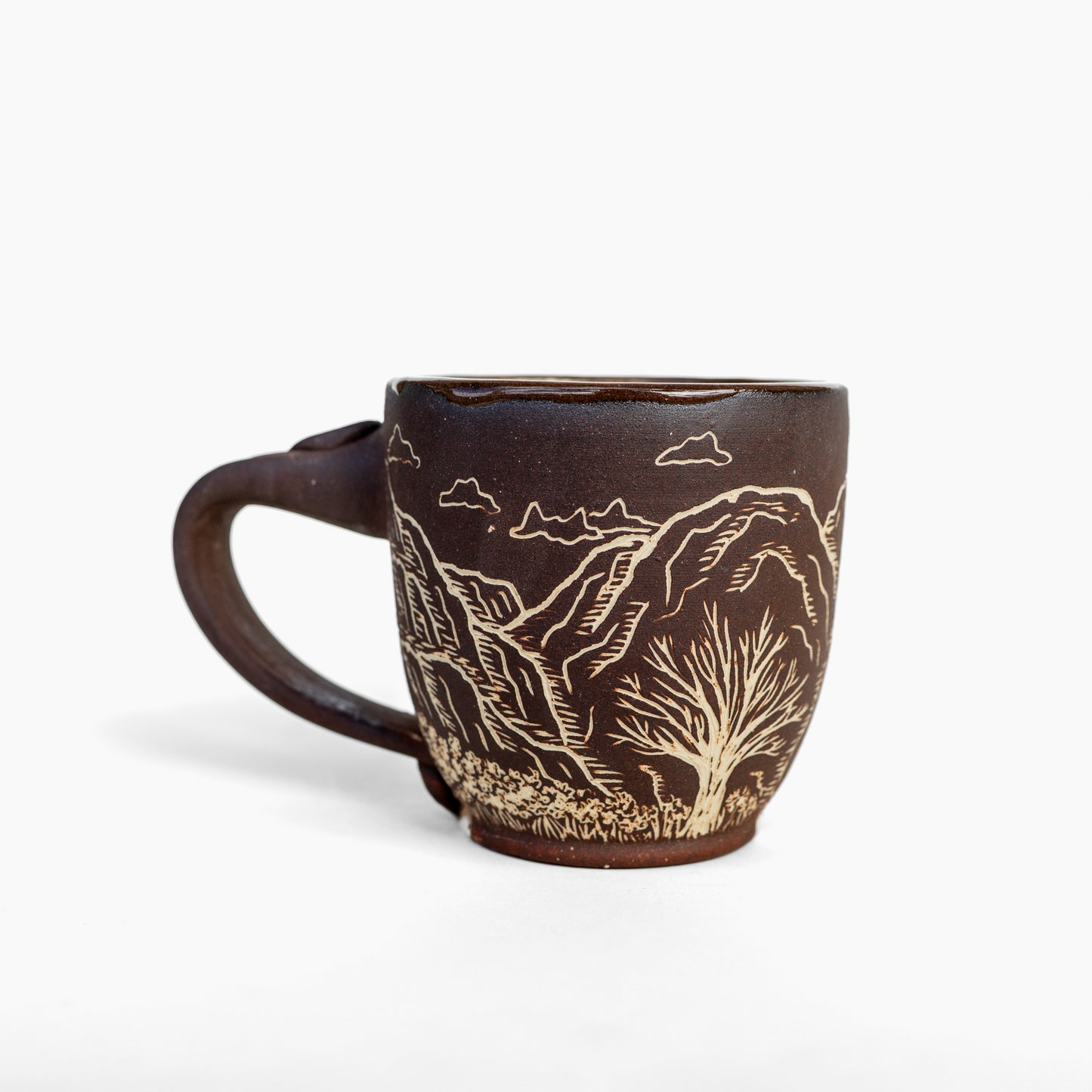 desert canyon sgraffito mug