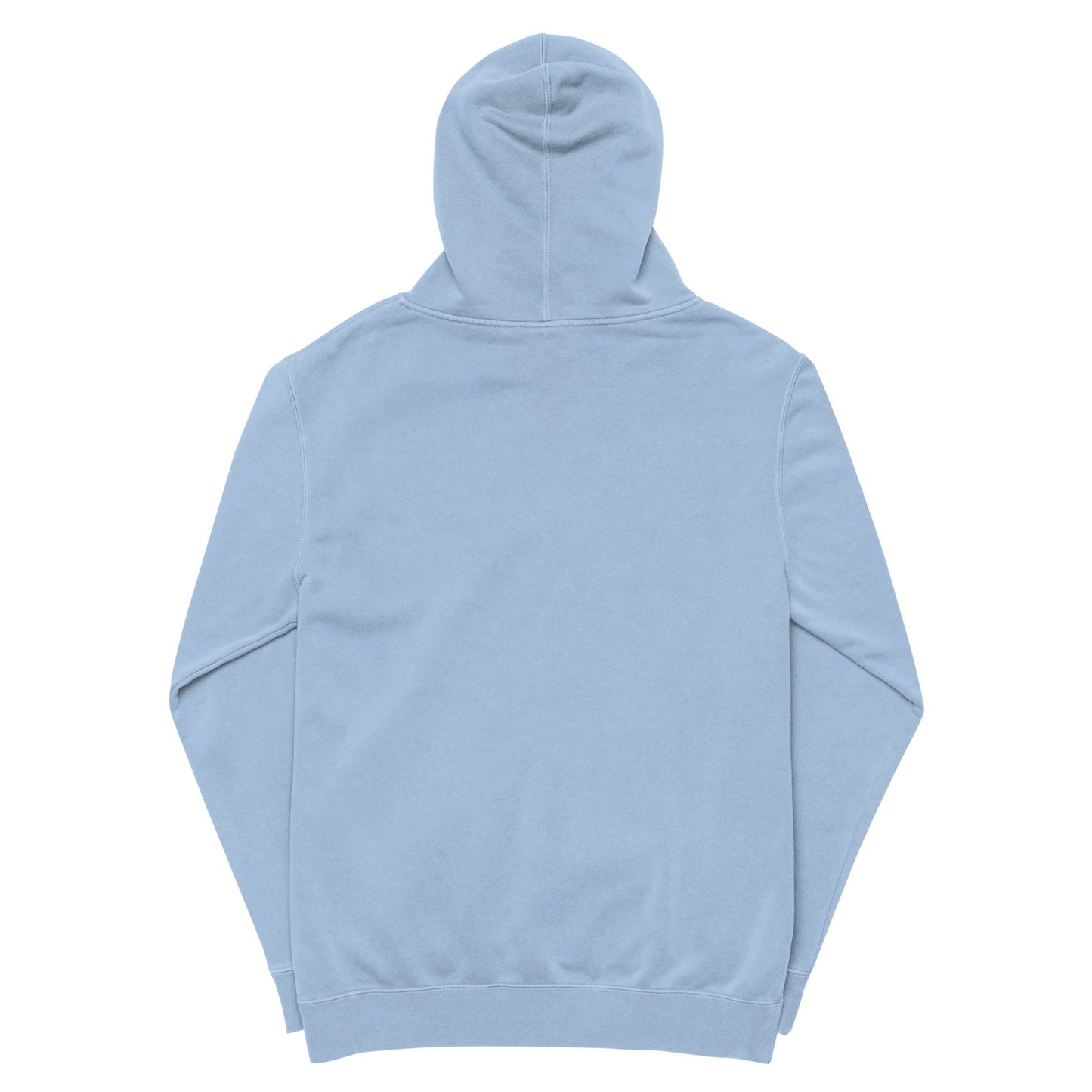 brackish pigment-dyed hoodie