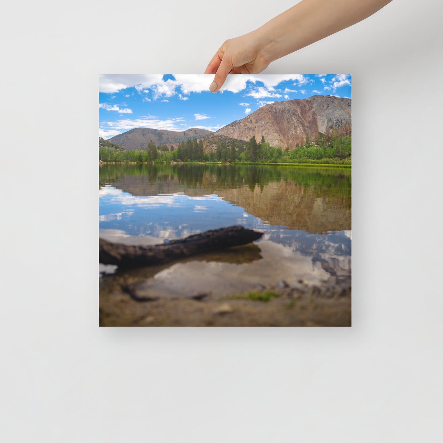 alpine lake print
