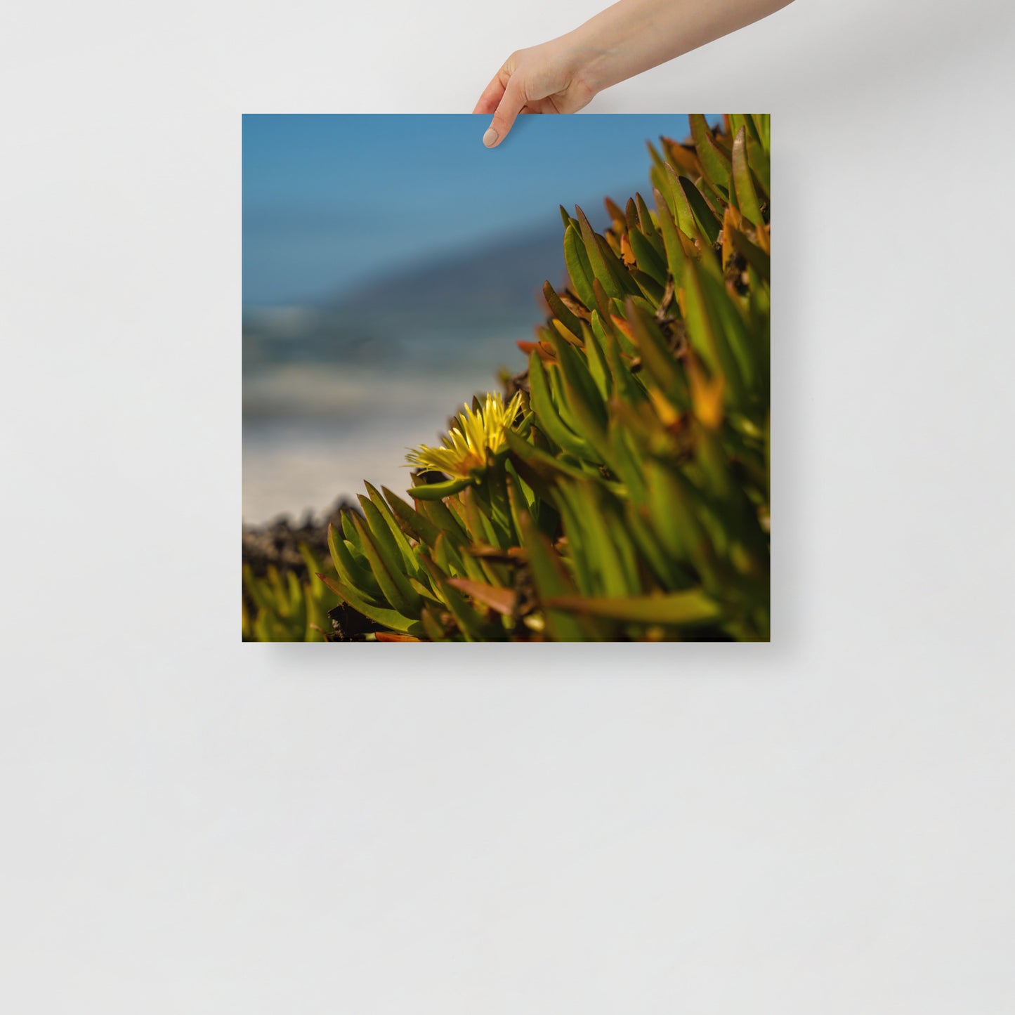 coastal bloom print