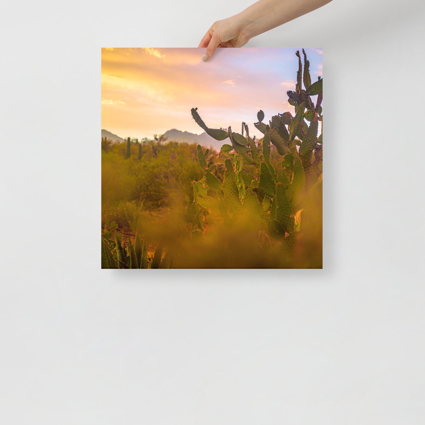 tucson sunset print