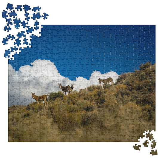 death valley burros puzzle