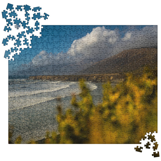 sand dollar beach puzzle