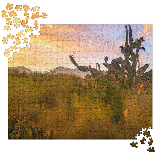 tucson sunset puzzle
